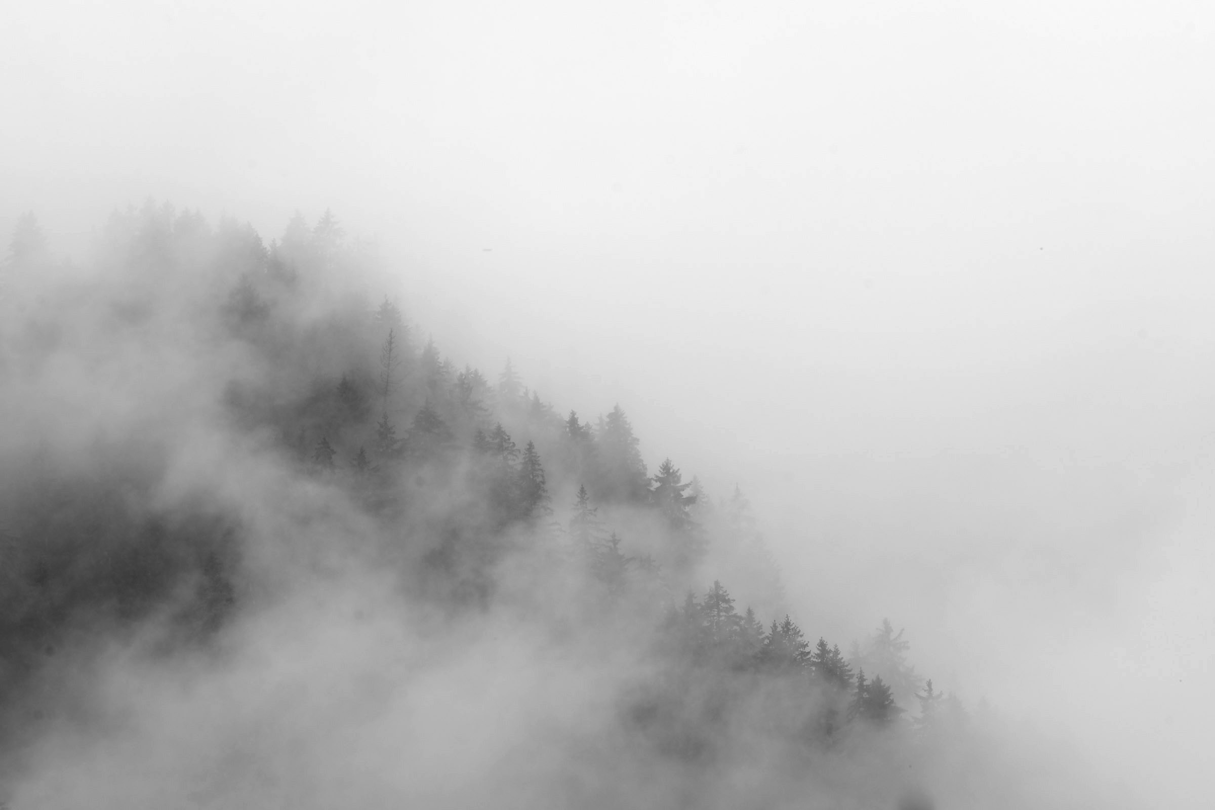 Landscape photograph 13 by Digory Macfarlane