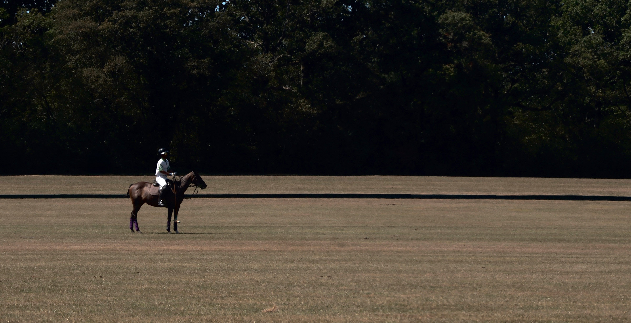 Sports photograph 9 by Digory Macfarlane